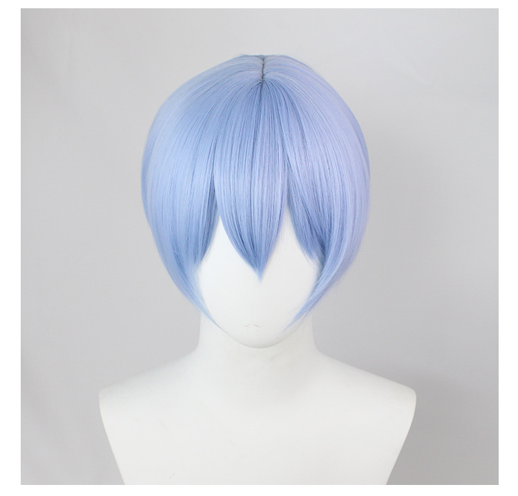 Himmel Heroic Cosplay Wig | Sousou no Frieren Universal Wig