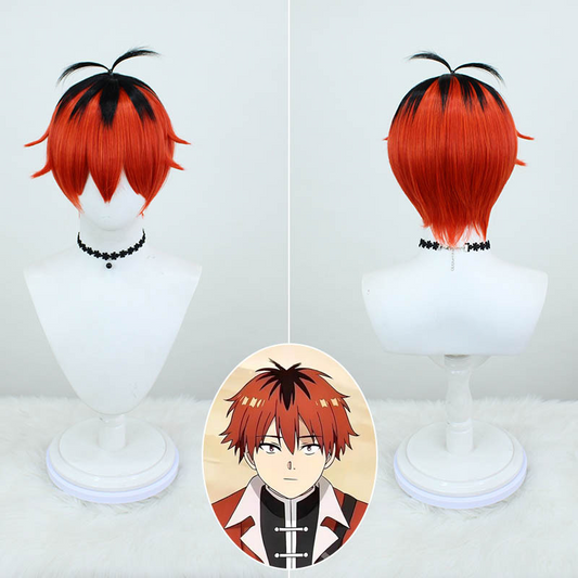 Stark Two-Tone Cosplay Wig | From Sousou no Frieren | Custom Blended Colors